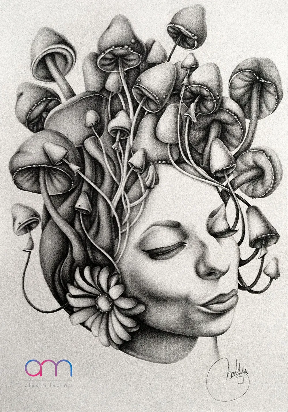 “Symbiosis” - 35/50 cm; pencil on paper;
