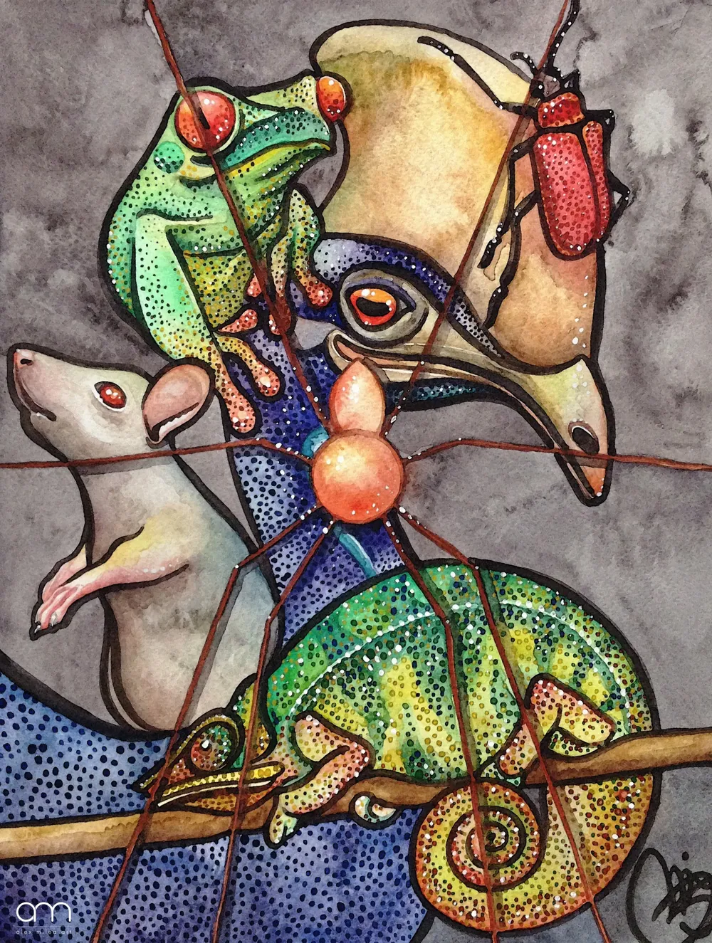 Dominant Species